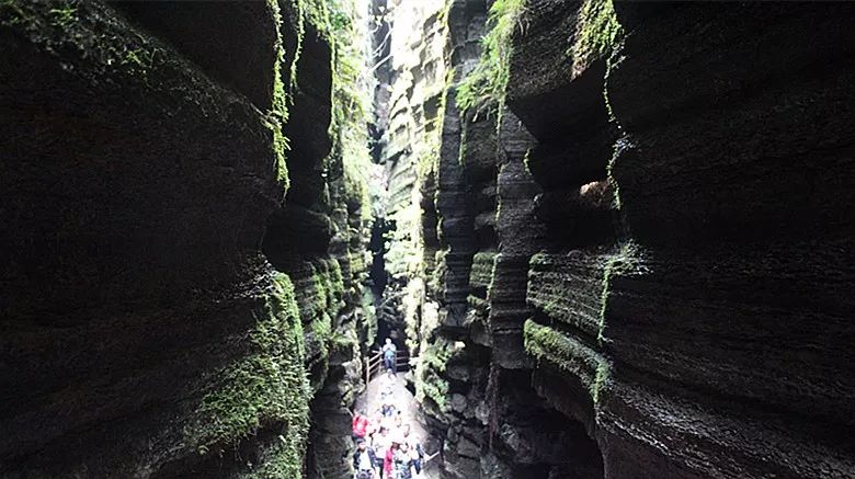 恩施受欢迎的恩施富硒茶(恩施特产富硒茶)-硒宝网