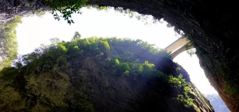 恩施受欢迎的恩施富硒茶(恩施特产富硒茶)-硒宝网