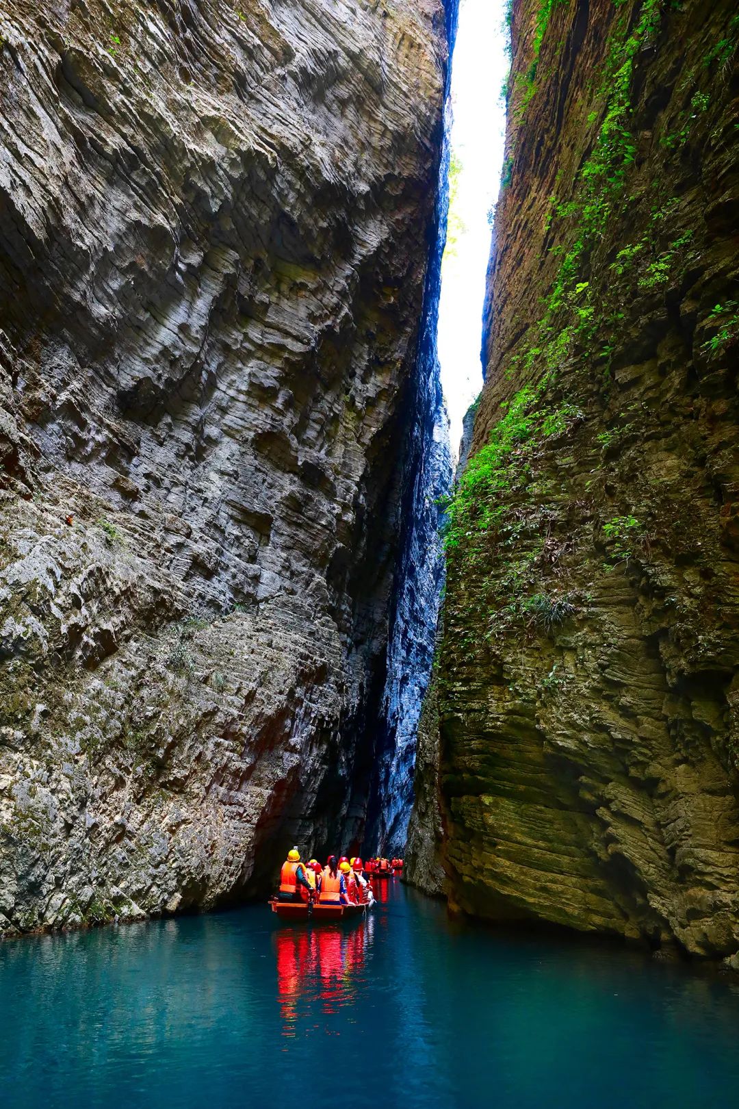 恩施受欢迎的恩施富硒茶(恩施特产富硒茶)-硒宝网