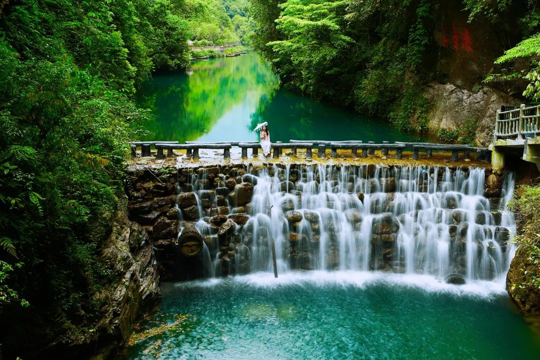 恩施受欢迎的恩施富硒茶(恩施特产富硒茶)-硒宝网