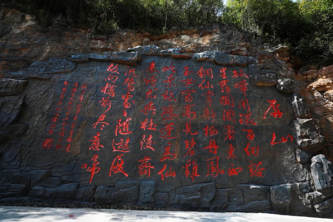 恩施受欢迎的恩施富硒茶(恩施特产富硒茶)-硒宝网