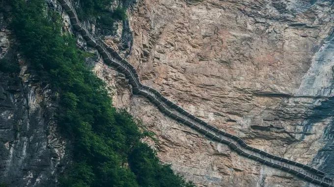 恩施受欢迎的恩施富硒茶(恩施特产富硒茶)-硒宝网