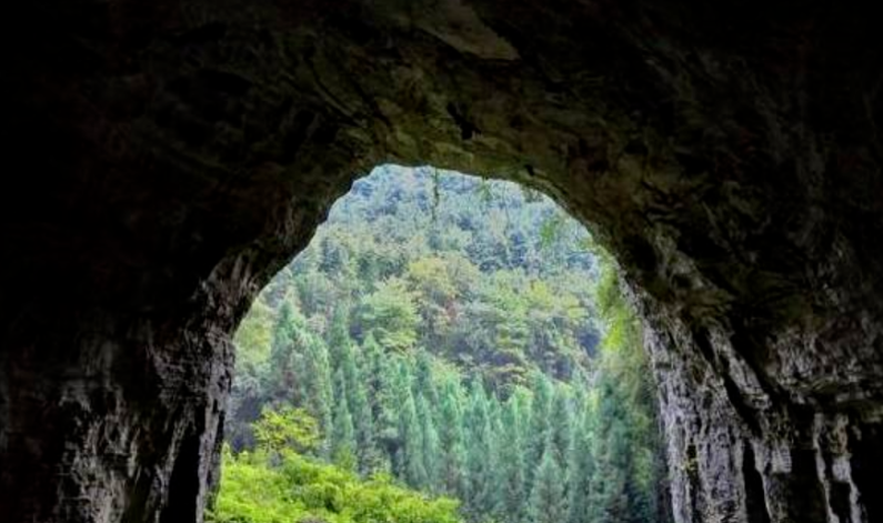 恩施受欢迎的恩施富硒茶(恩施特产富硒茶)-硒宝网