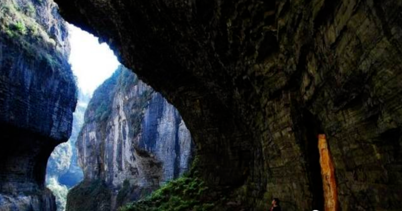 恩施受欢迎的恩施富硒茶(恩施特产富硒茶)-硒宝网