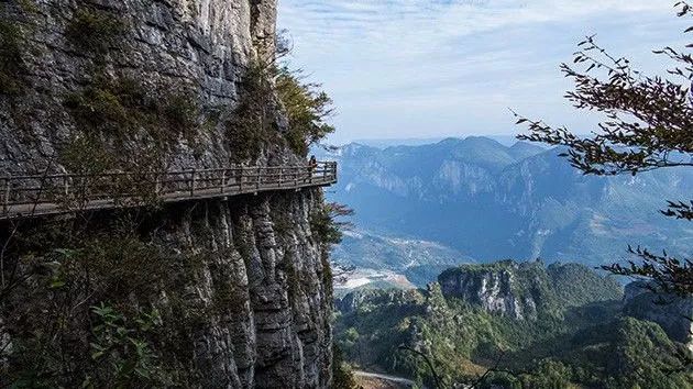 恩施受欢迎的恩施富硒茶(恩施特产富硒茶)-硒宝网