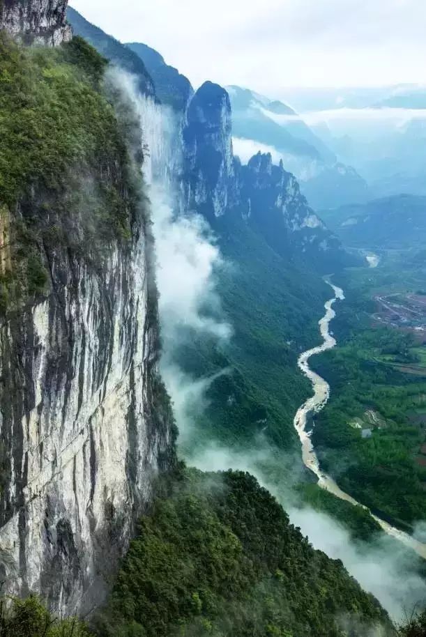 恩施受欢迎的恩施富硒茶(恩施特产富硒茶)-硒宝网