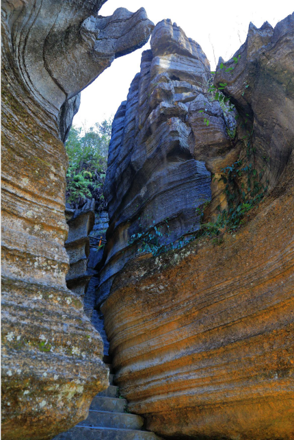 恩施受欢迎的恩施富硒茶(恩施特产富硒茶)-硒宝网