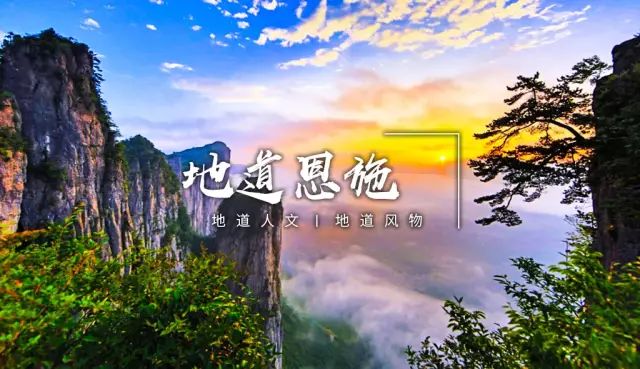 恩施受欢迎的恩施富硒茶(恩施特产富硒茶)-硒宝网