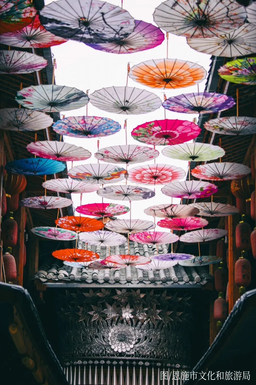 恩施受欢迎的恩施富硒茶(恩施特产富硒茶)-硒宝网