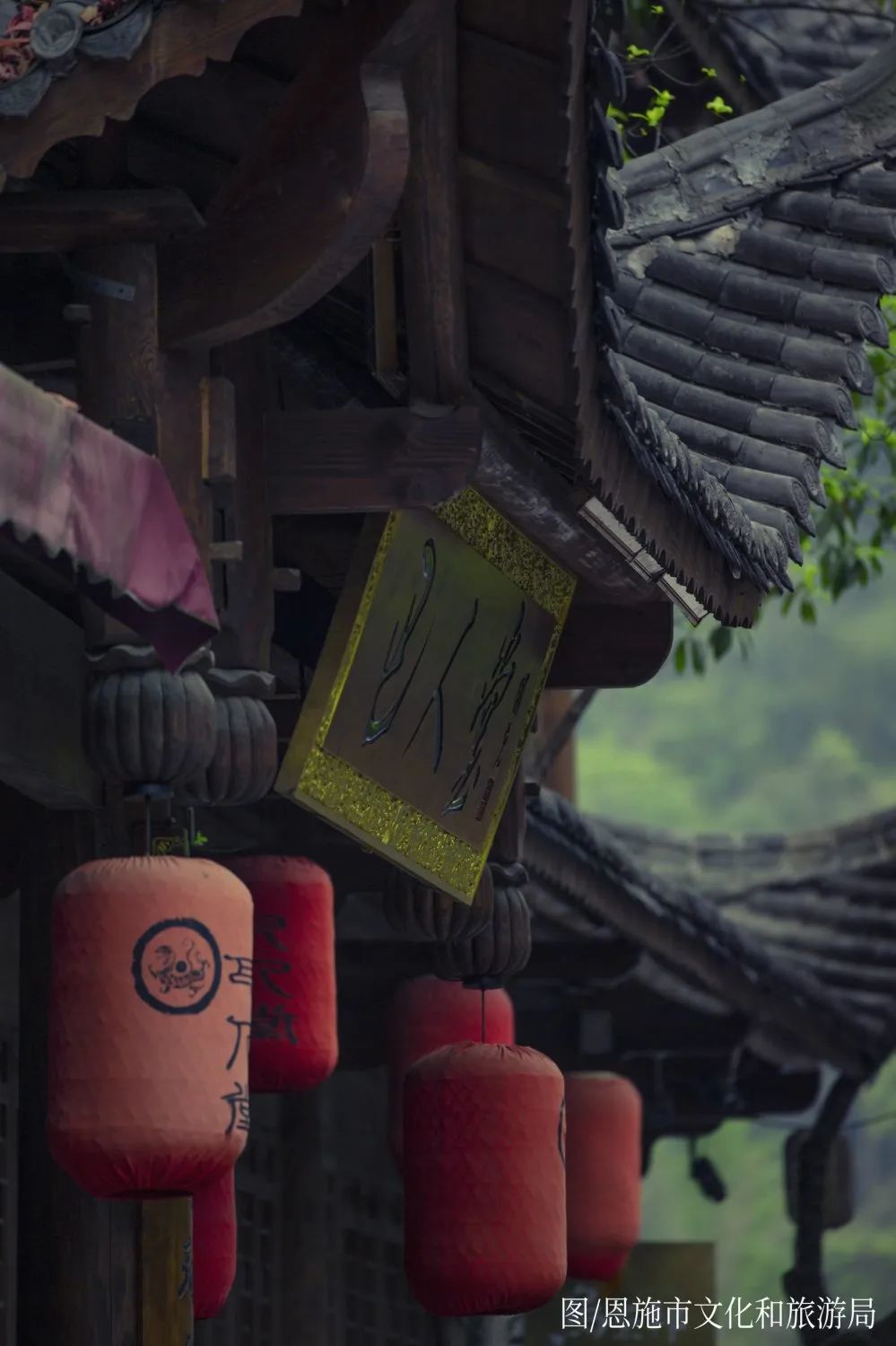 恩施受欢迎的恩施富硒茶(恩施特产富硒茶)-硒宝网