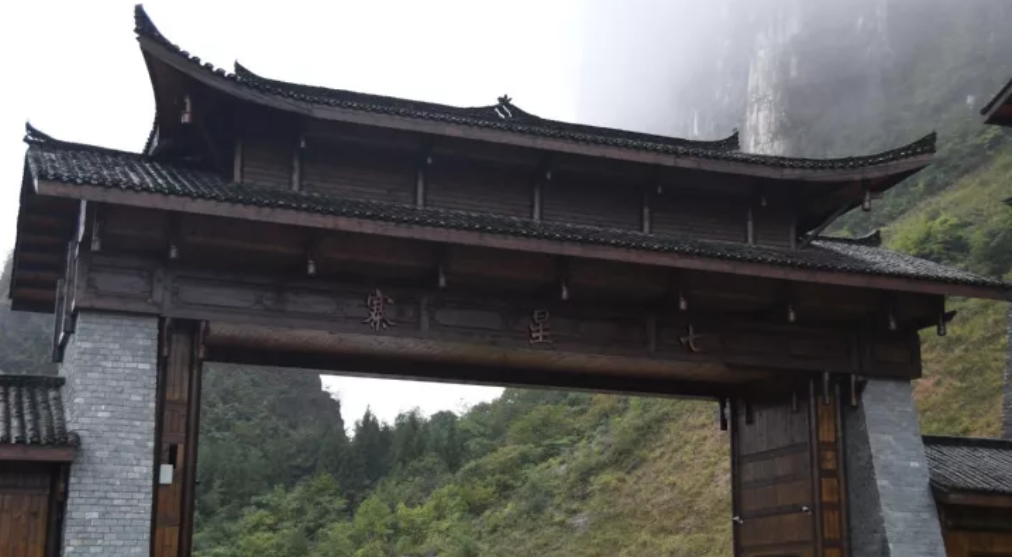 恩施受欢迎的恩施富硒茶(恩施特产富硒茶)-硒宝网