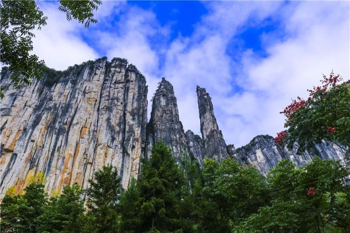 恩施受欢迎的恩施富硒茶(恩施特产富硒茶)-硒宝网