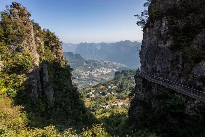 恩施受欢迎的恩施富硒茶(恩施特产富硒茶)-硒宝网