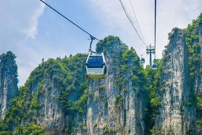 恩施受欢迎的恩施富硒茶(恩施特产富硒茶)-硒宝网