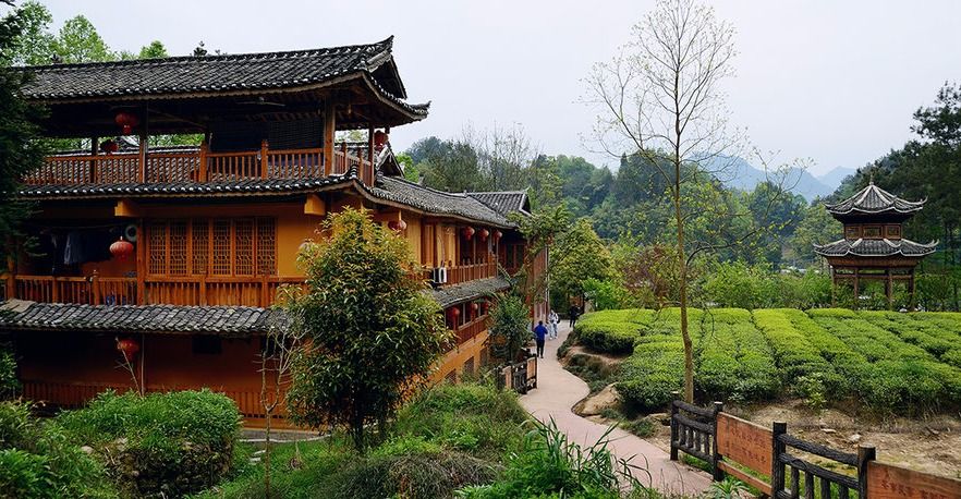 恩施受欢迎的恩施富硒茶(恩施特产富硒茶)-硒宝网