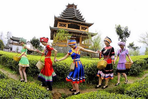 恩施受欢迎的恩施富硒茶(恩施特产富硒茶)-硒宝网