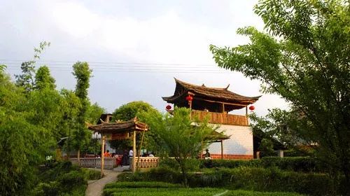 恩施受欢迎的恩施富硒茶(恩施特产富硒茶)-硒宝网