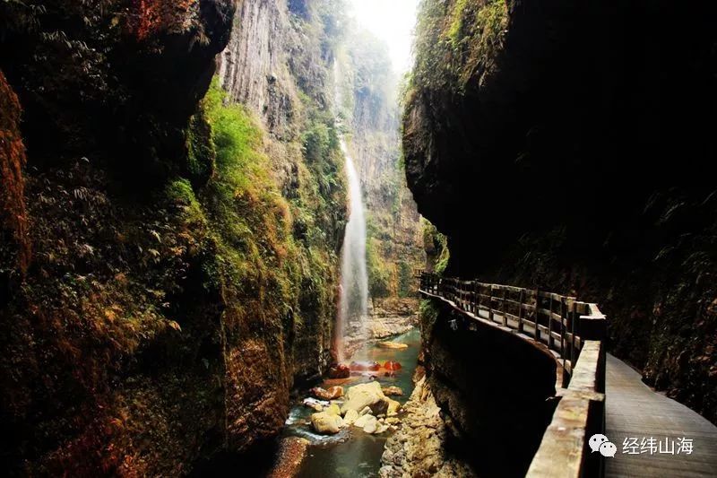 恩施受欢迎的恩施富硒茶(恩施特产富硒茶)-硒宝网