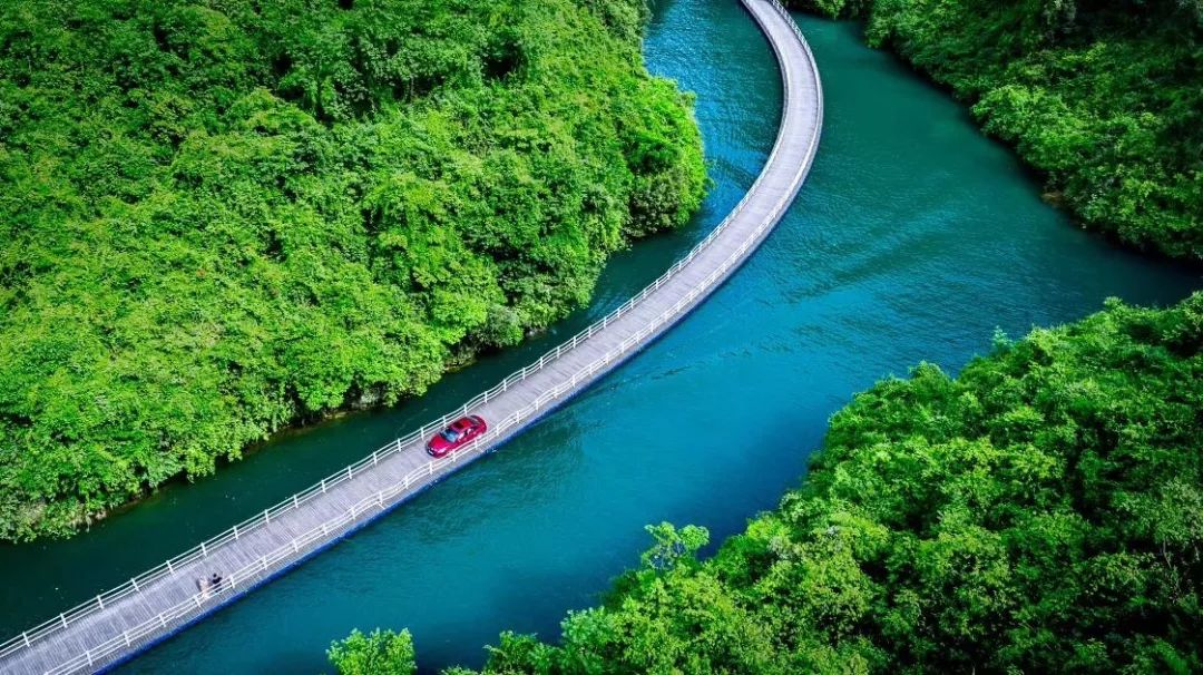 恩施受欢迎的恩施富硒茶(恩施特产富硒茶)-硒宝网