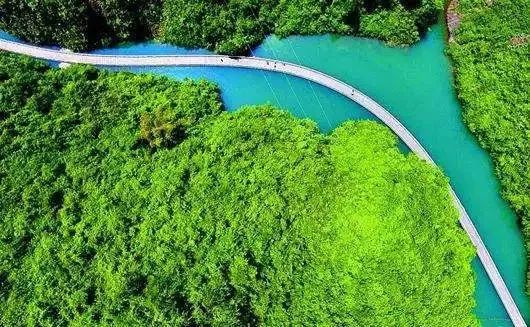 恩施受欢迎的恩施富硒茶(恩施特产富硒茶)-硒宝网