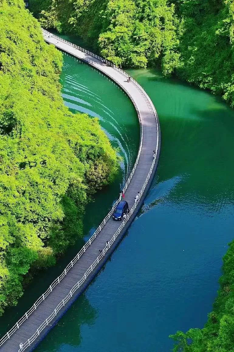 恩施受欢迎的恩施富硒茶(恩施特产富硒茶)-硒宝网