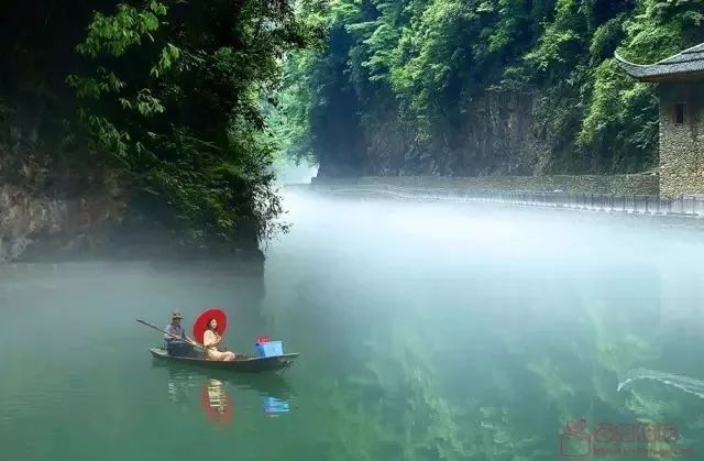 恩施受欢迎的恩施富硒茶(恩施特产富硒茶)-硒宝网