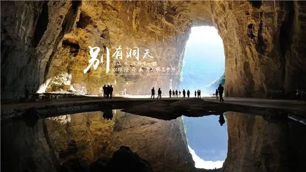 恩施受欢迎的恩施富硒茶(恩施特产富硒茶)-硒宝网