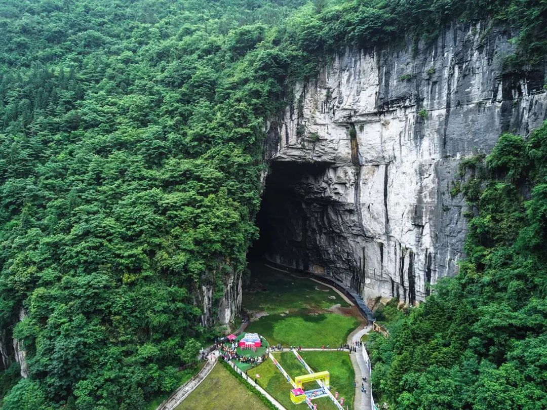 恩施受欢迎的恩施富硒茶(恩施特产富硒茶)-硒宝网