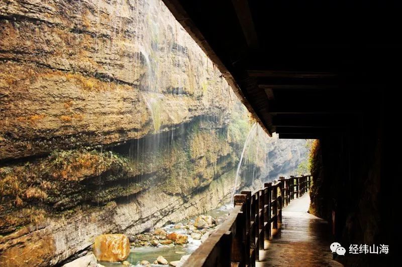 恩施受欢迎的恩施富硒茶(恩施特产富硒茶)-硒宝网