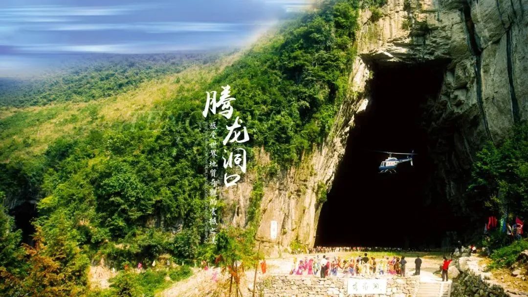 恩施受欢迎的恩施富硒茶(恩施特产富硒茶)-硒宝网