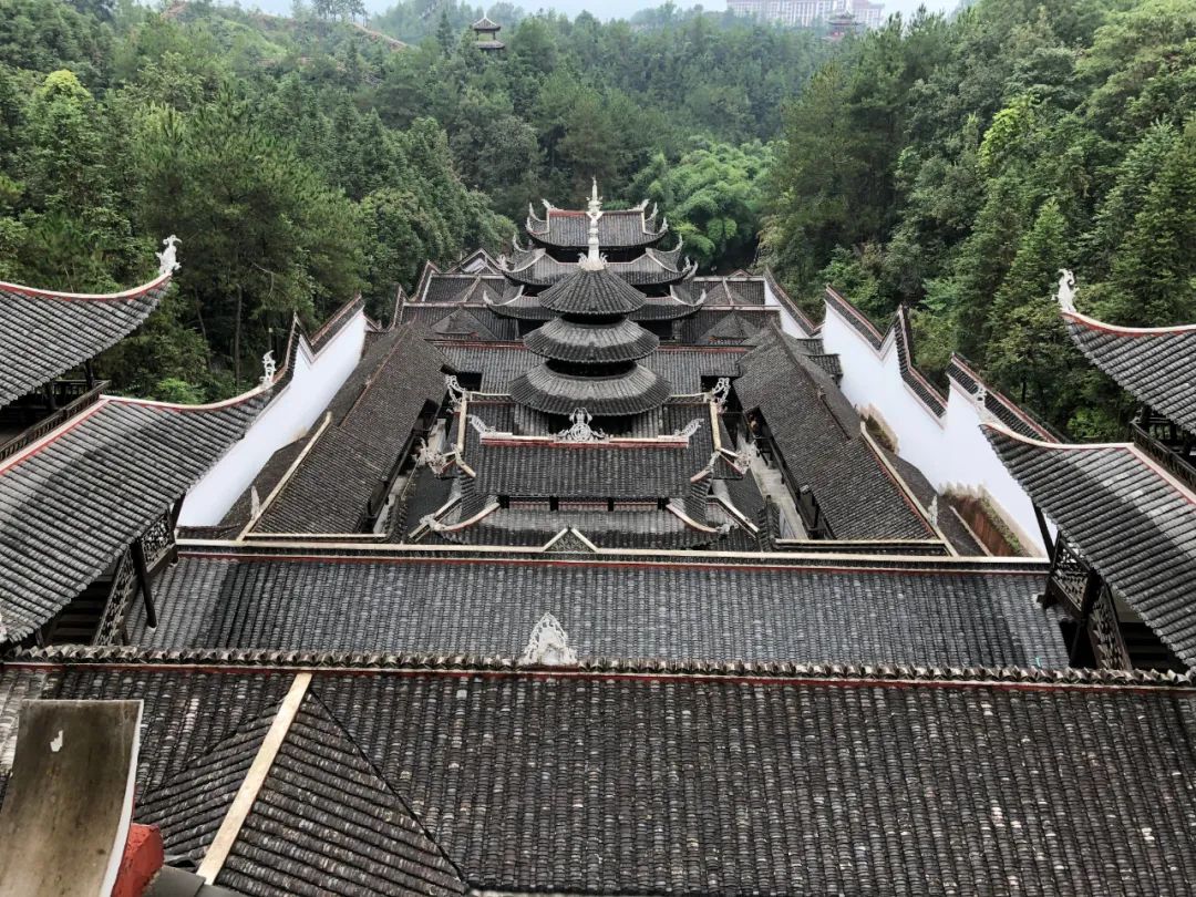 恩施受欢迎的恩施富硒茶(恩施特产富硒茶)-硒宝网