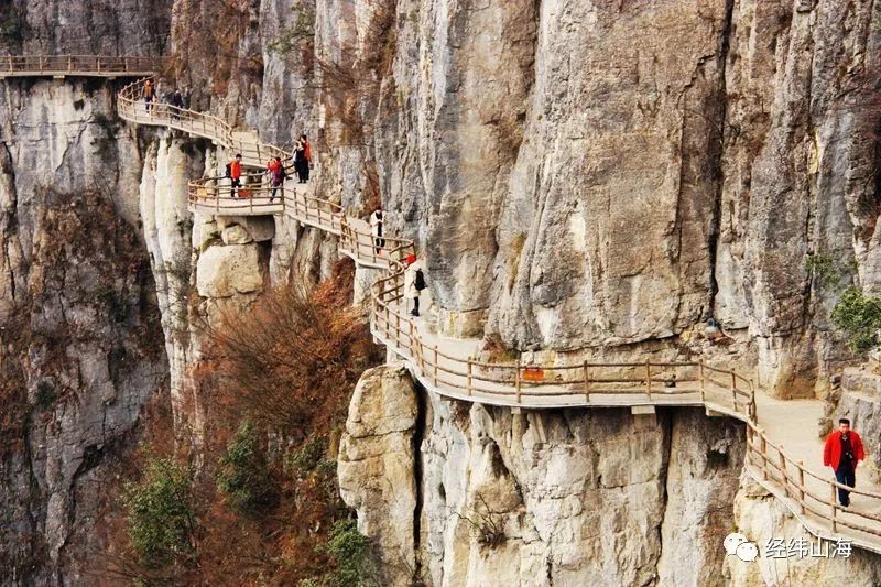 恩施受欢迎的恩施富硒茶(恩施特产富硒茶)-硒宝网