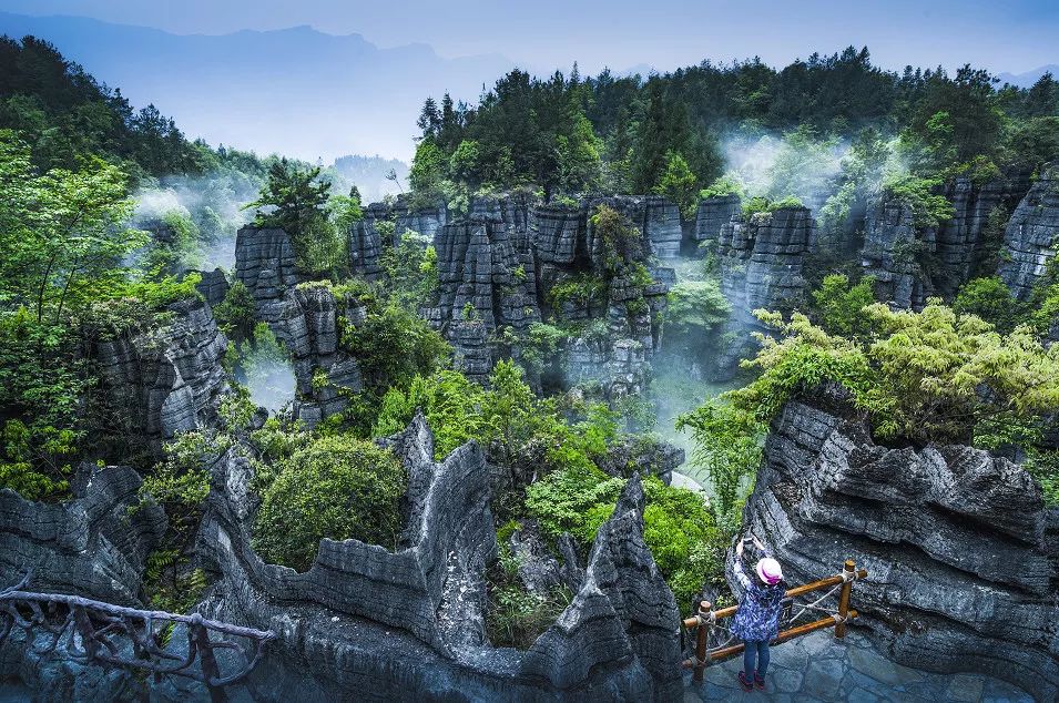 恩施受欢迎的恩施富硒茶(恩施特产富硒茶)-硒宝网