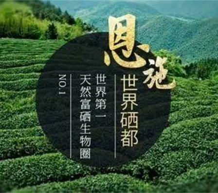 恩施受欢迎的恩施富硒茶（恩施富硒新茶）-硒宝网