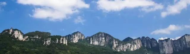 恩施受欢迎的恩施富硒茶（恩施富硒新茶）-硒宝网