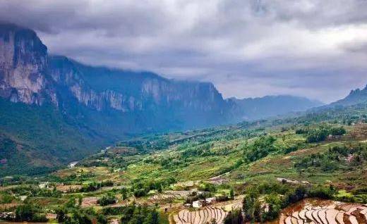 恩施受欢迎的恩施富硒茶（恩施富硒新茶）-硒宝网