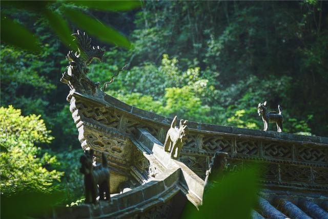 石台富硒茶在哪里生产好（石台硒茶标准）-硒宝网