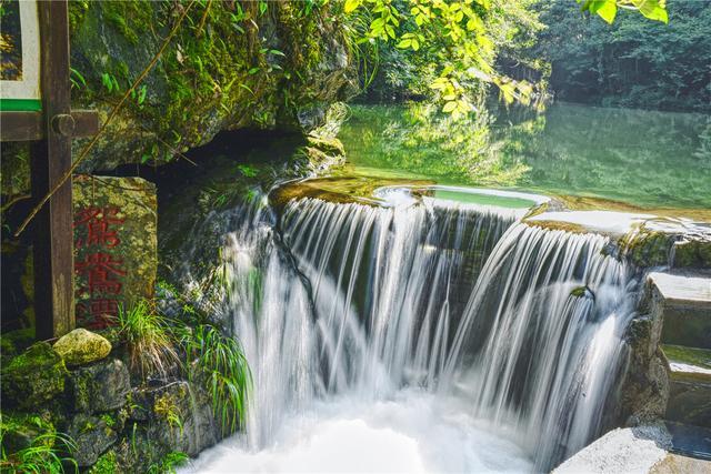 石台富硒茶在哪里生产好（石台硒茶标准）-硒宝网