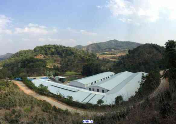 富硒普洱茶种植基地地址(普洱茶基地最大的公司)-硒宝网
