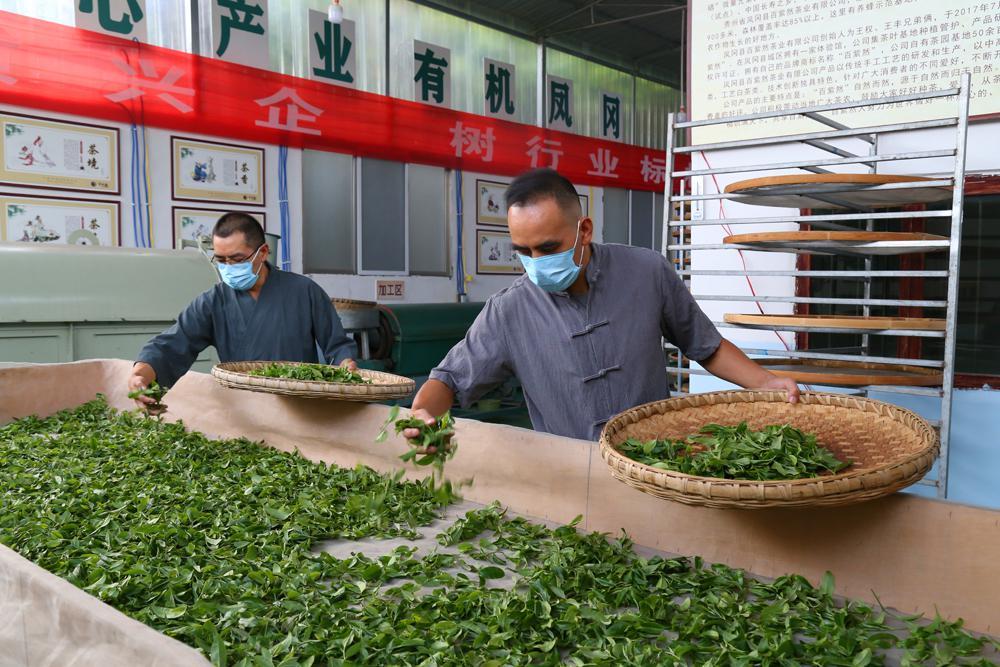 凤冈富硒茶好喝吗好喝吗(富硒茶喝了便秘)-硒宝网