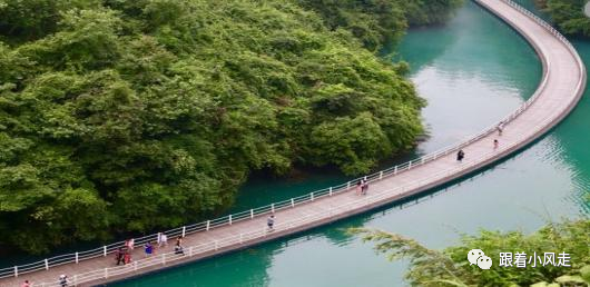 荆州受欢迎的恩施富硒茶（荆州特产茶叶）-硒宝网
