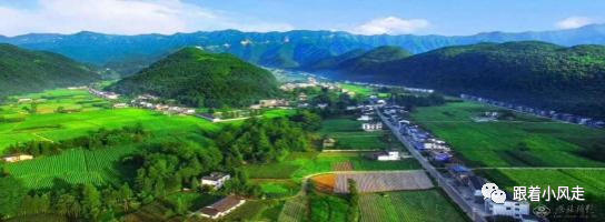 荆州受欢迎的恩施富硒茶（荆州特产茶叶）-硒宝网