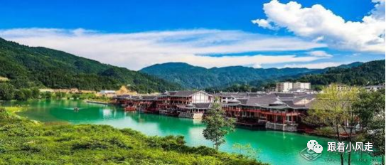 荆州受欢迎的恩施富硒茶（荆州特产茶叶）-硒宝网