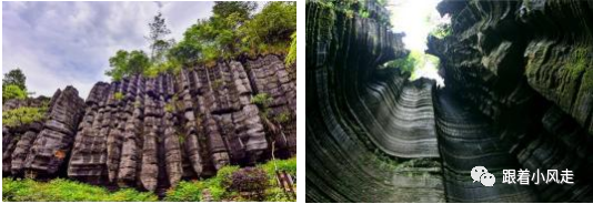 荆州受欢迎的恩施富硒茶（荆州特产茶叶）-硒宝网