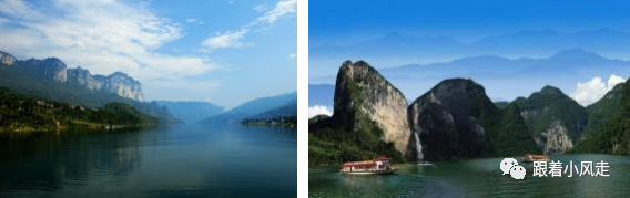 荆州受欢迎的恩施富硒茶（荆州特产茶叶）-硒宝网