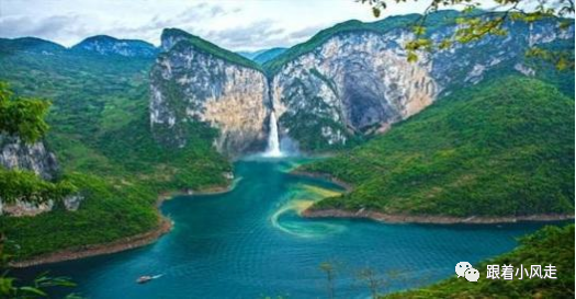 荆州受欢迎的恩施富硒茶（荆州特产茶叶）-硒宝网