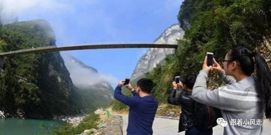 荆州受欢迎的恩施富硒茶（荆州特产茶叶）-硒宝网