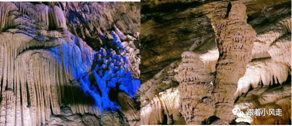 荆州受欢迎的恩施富硒茶（荆州特产茶叶）-硒宝网