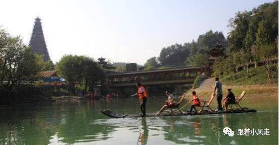 荆州受欢迎的恩施富硒茶（荆州特产茶叶）-硒宝网