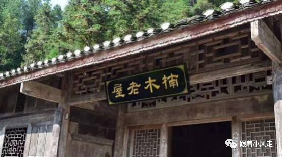 荆州受欢迎的恩施富硒茶（荆州特产茶叶）-硒宝网